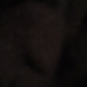 Meet your Posher, Rose